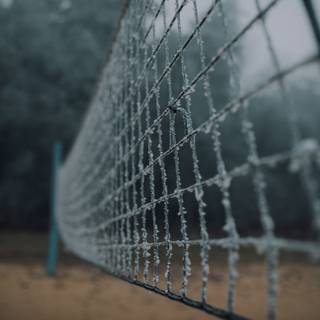 Volleyball net wallpaper