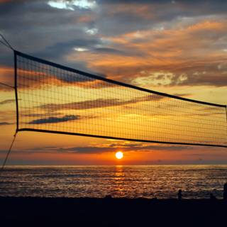 Volleyball net wallpaper