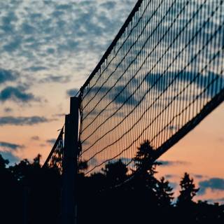 Volleyball net wallpaper