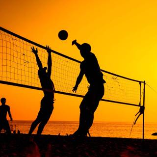 Volleyball net wallpaper