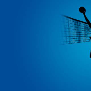 Volleyball net wallpaper