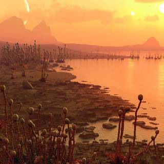 Alien life wallpaper