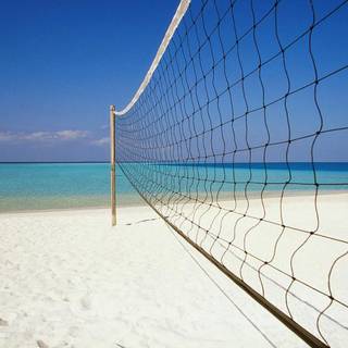 Volleyball net wallpaper