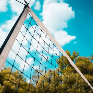 Volleyball net wallpaper