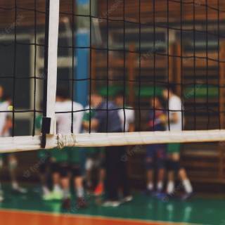 Volleyball net wallpaper