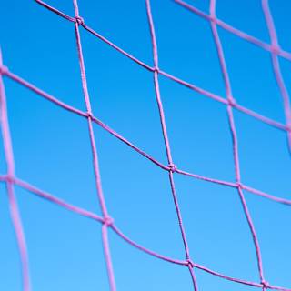 Volleyball net wallpaper