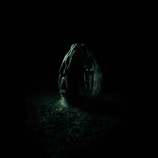 Alien life wallpaper