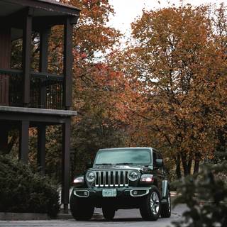 Thar car mobile wallpaper