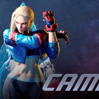 Street Fighter girls desktop wallpaper