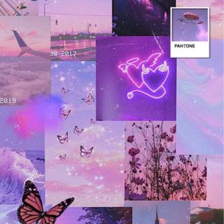 Purple and pink aesthetic wallpaper