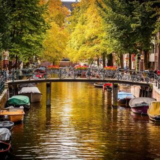 Canals of Amsterdam wallpaper