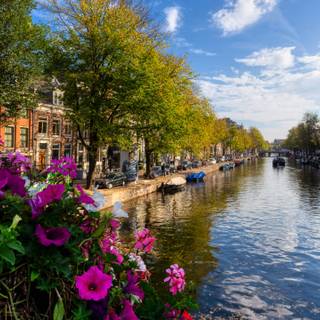 Canals of Amsterdam wallpaper