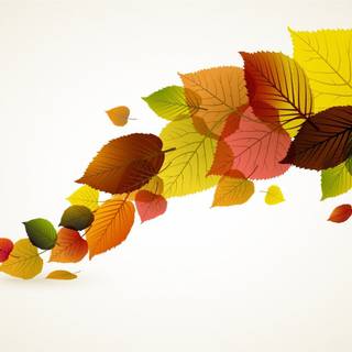 Autumn leaves illustrations wallpaper