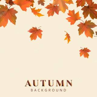 Autumn leaves illustrations wallpaper