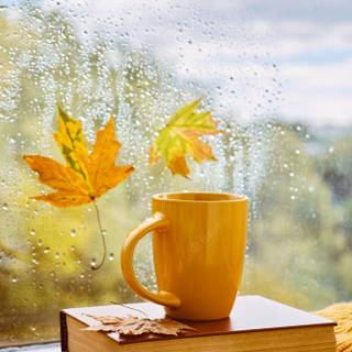 Tea books autumn wallpaper