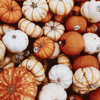 Autumn Pinterest wallpaper