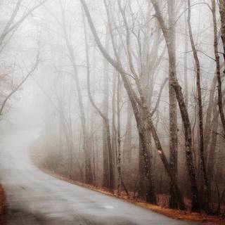 Autumn foggy road wallpaper
