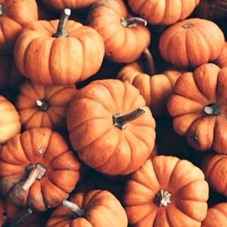 Autumn Pinterest wallpaper