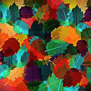 Autumn leaves illustrations wallpaper