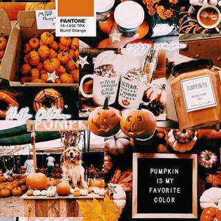 Autumn Pinterest wallpaper