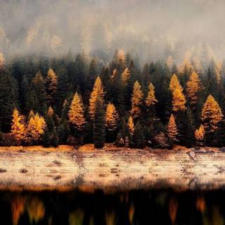 Autumn Pinterest wallpaper