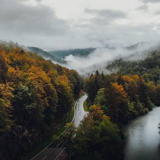 Autumn foggy road wallpaper