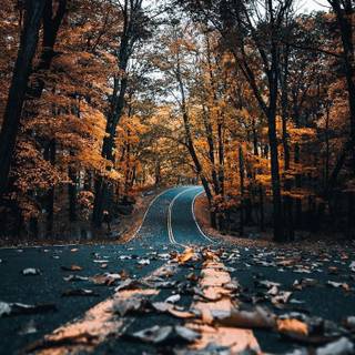 Autumn Pinterest wallpaper