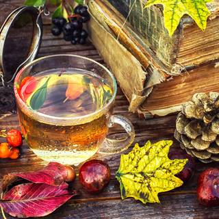 Tea books autumn wallpaper
