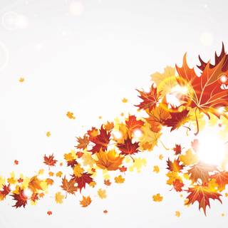 Autumn leaves illustrations wallpaper