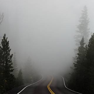Autumn foggy road wallpaper