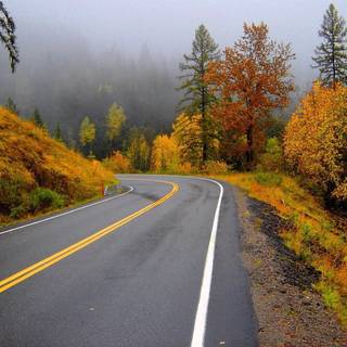 Autumn foggy road wallpaper