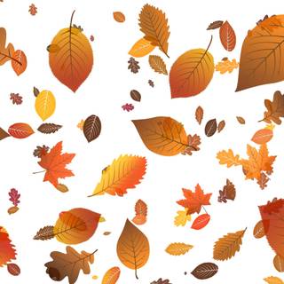 Autumn leaves illustrations wallpaper
