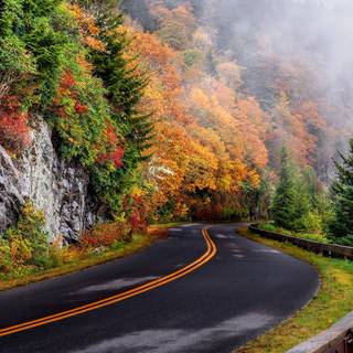Autumn foggy road wallpaper
