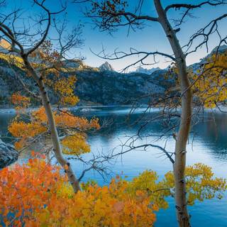 Autumn California wallpaper