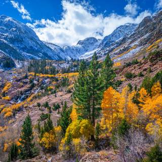 Autumn California wallpaper