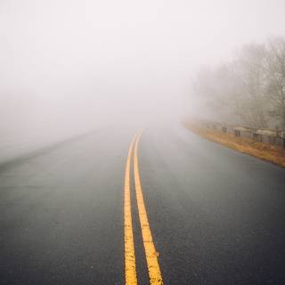 Autumn foggy road wallpaper