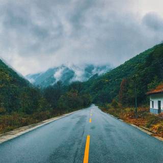 Autumn foggy road wallpaper