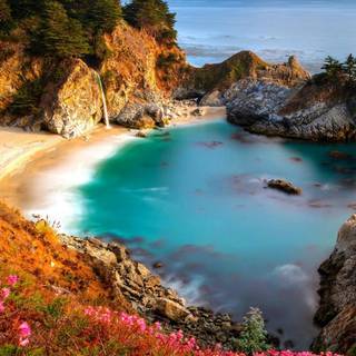 Autumn California wallpaper