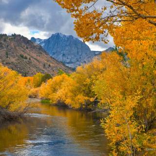 Autumn California wallpaper