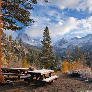 Autumn California wallpaper