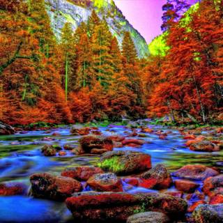 Autumn California wallpaper