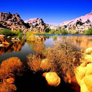 Autumn California wallpaper