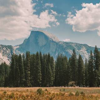 Autumn California wallpaper