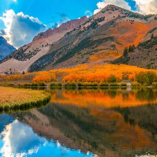 Autumn California wallpaper