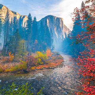 Autumn California wallpaper