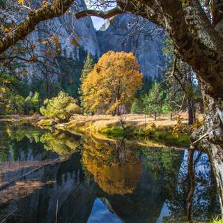 Autumn California wallpaper