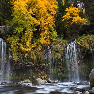 Autumn California wallpaper