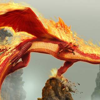 Fire dragon 4k wallpaper