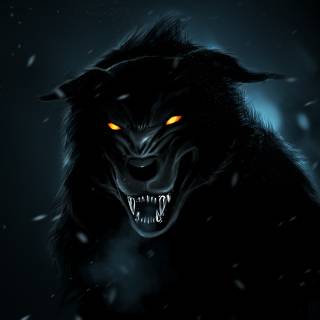 4k black wolf wallpaper