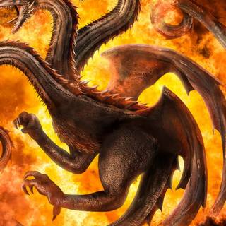 Fire dragon phone wallpaper